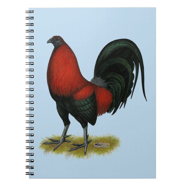 Cuaderno Gallo Rojo Negro de Juego Americano (Frente)