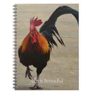 Cuaderno Gallo Rojo Pájaro Kauai (mi fotografía)