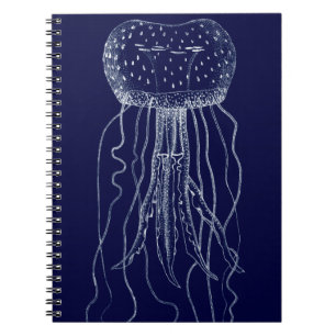 Cuaderno Gallos blancos y azules