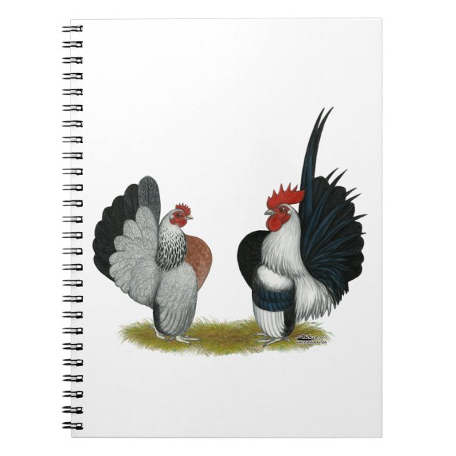 Cuaderno Gallos de Serama (Frente)