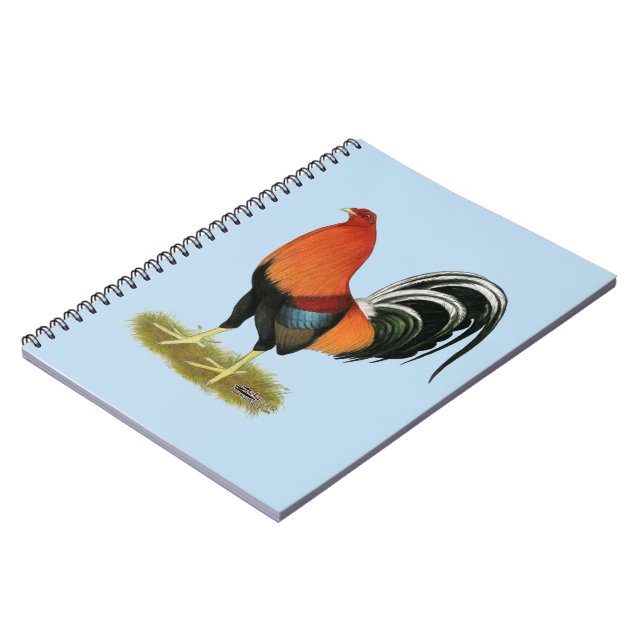 Cuaderno Gamecock Wheaten Rooster (Lado Izquierdo)