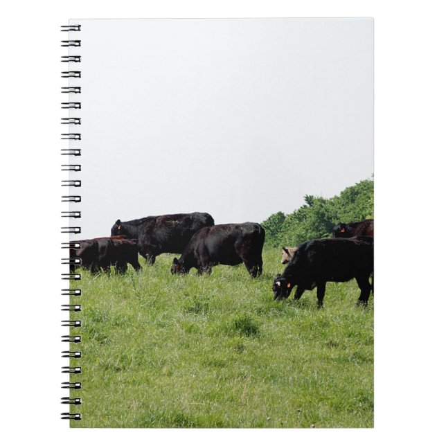 Cuaderno Ganado Angus negro (Frente)