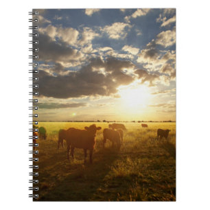 Cuaderno Ganado en el campo, puesta del sol