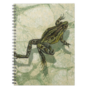 Cuaderno Ganar toad en el agua