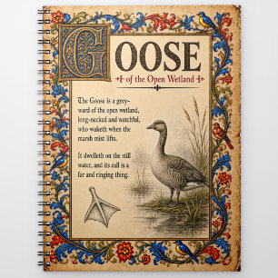 Cuaderno Ganso, Arte de Bestiario Medieval