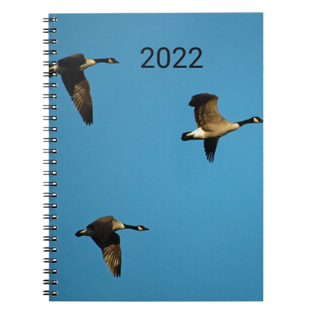 Cuaderno Gansos canadienses en vuelo (Frente)