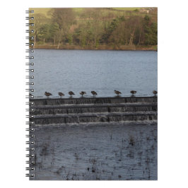 Cuaderno Gansos de Canadá en fila