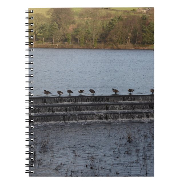 Cuaderno Gansos de Canadá en fila (Frente)