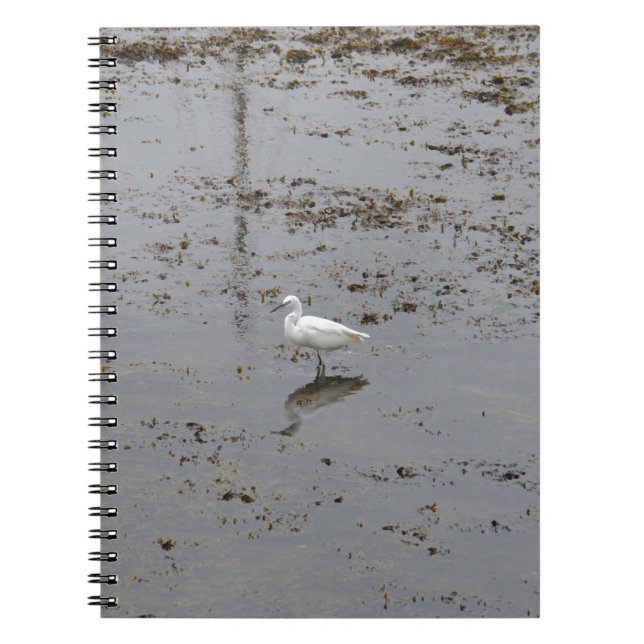 Cuaderno Garceta Nívea (Frente)
