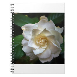 Cuaderno Gardenia blanca