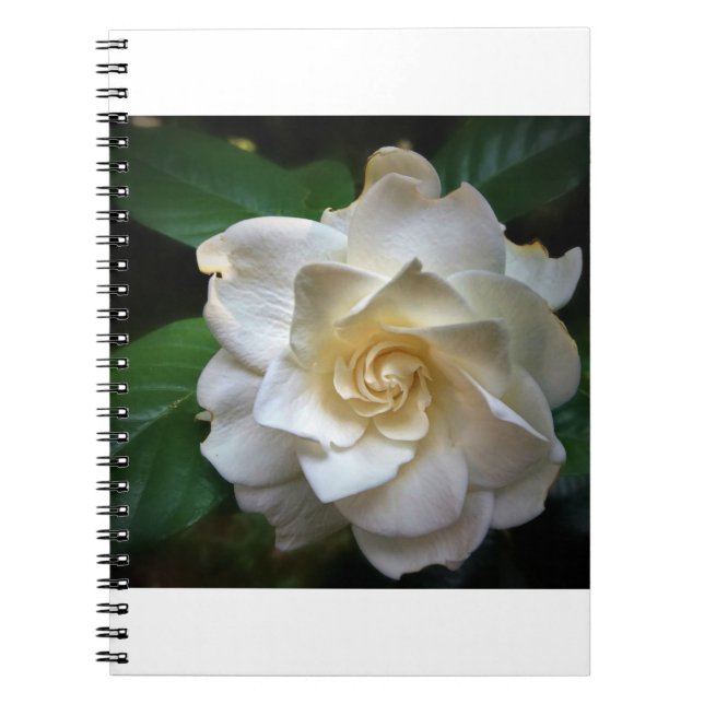 Cuaderno Gardenia blanca (Frente)