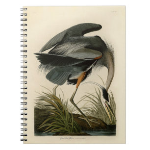 Cuaderno Garza azul grande de Audubon Marsh Bird