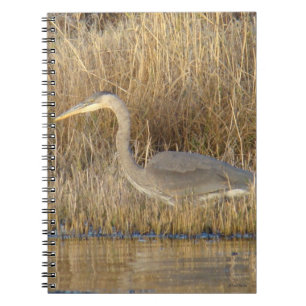 Cuaderno Garza azul juvenil B19