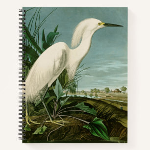 Cuaderno Garza Blanca de Audubon Ave Birding