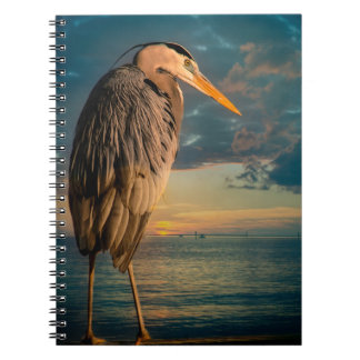Cuaderno Garza de gran azul y puesta del sol azul