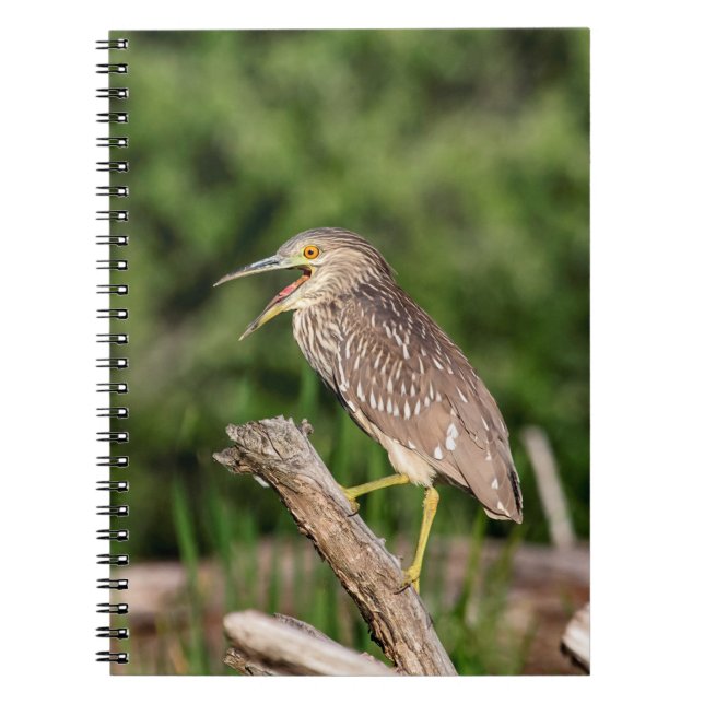 Cuaderno Garza de noche coronada negro juvenil (Frente)