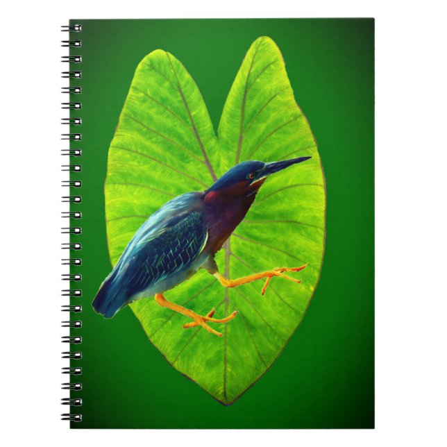 Cuaderno Garza verde (Frente)