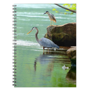 Cuaderno Garzas