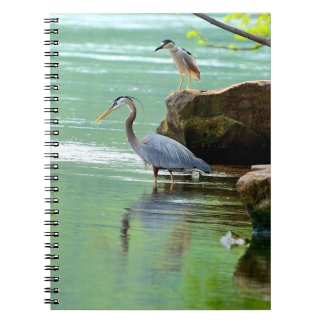 Cuaderno Garzas (Frente)