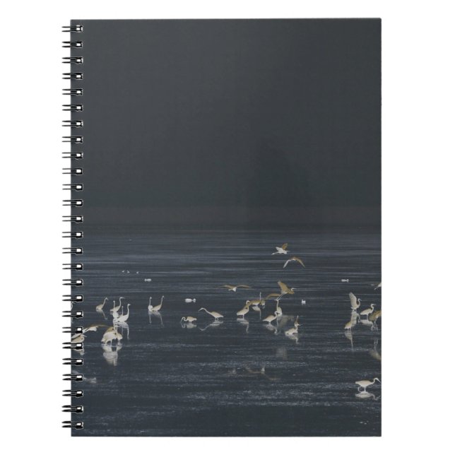 Cuaderno Garzas En El Océano Azul Medianoche (Frente)