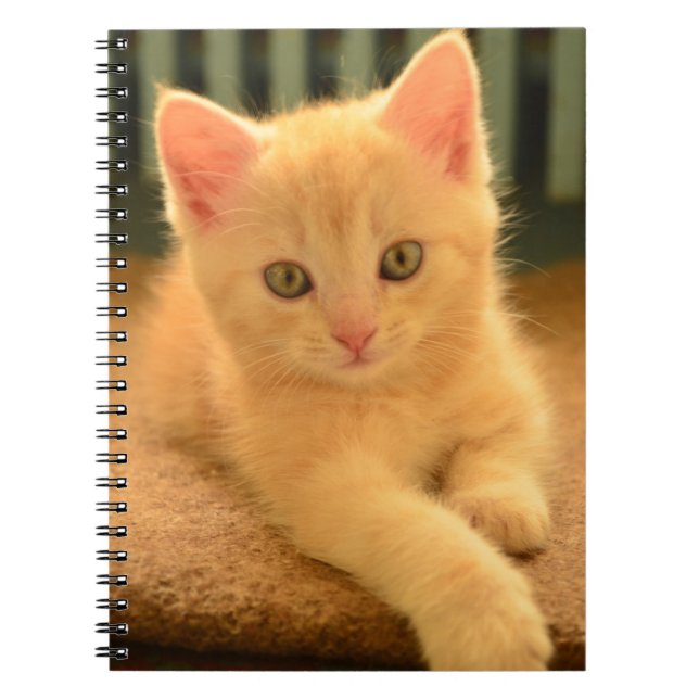 Cuaderno Gatito (Frente)