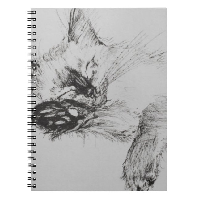 Cuaderno Gatito 'Baby (Frente)