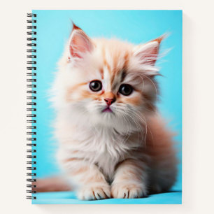 Cuaderno Gatito Blanco Adorable Potrait-54971