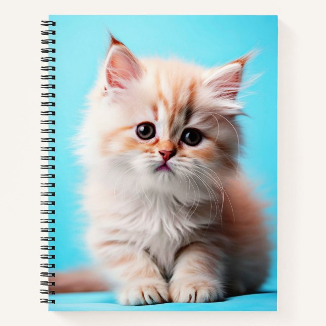 Cuaderno Gatito Blanco Adorable Potrait-54971 (Anverso)