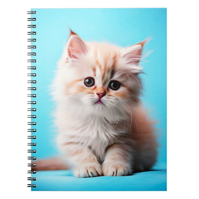 Cuaderno Gatito Blanco Adorable Potrait-54971 (Frente)