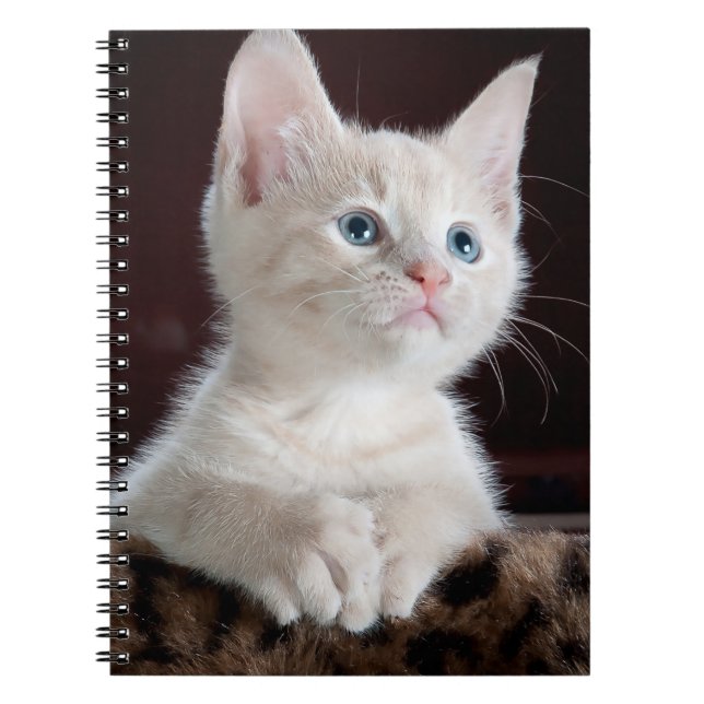 Cuaderno Gatito blanco vulnerable (Frente)