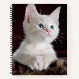 Cuaderno Gatito blanco vulnerable