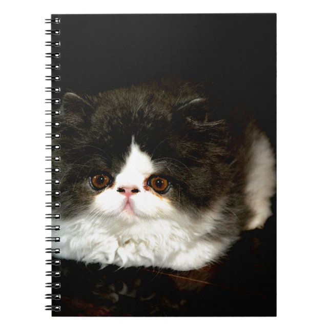 Cuaderno Gatito de gatito blanco y negro (Frente)