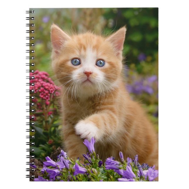 Cuaderno Gatito de jengibre en un jardín (Frente)