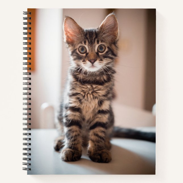 Cuaderno Gatito de Tabby en la mesa (Anverso)