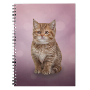 Cuaderno Gatito divertido a rayas