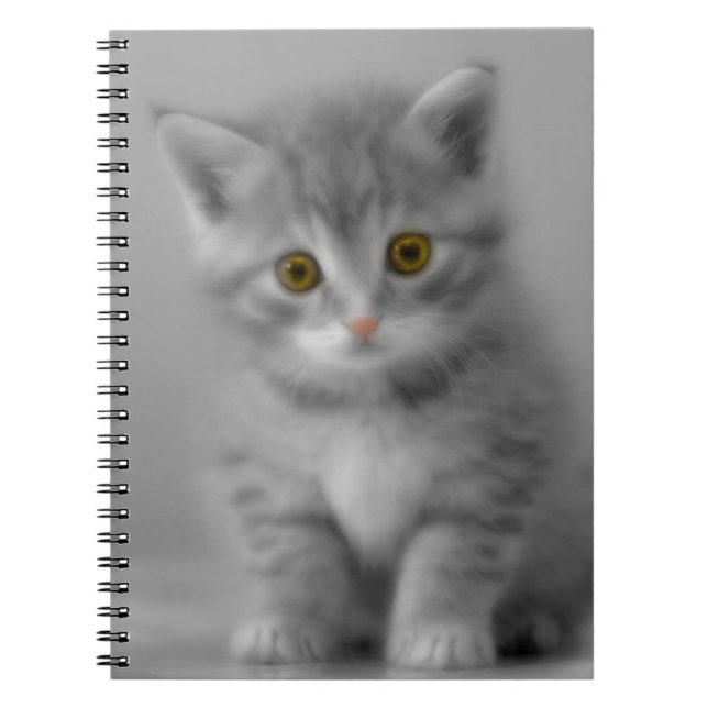 Cuaderno Gatito dulce (Frente)