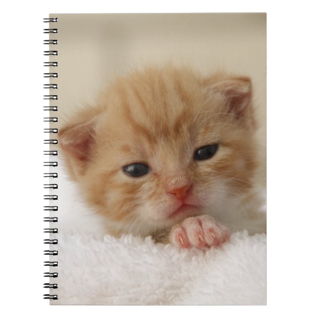 Cuaderno Gatito dulce del perrito (Frente)