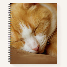 Cuaderno Gatito durmiente