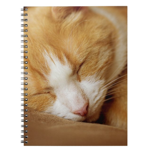 Cuaderno Gatito durmiente (Frente)