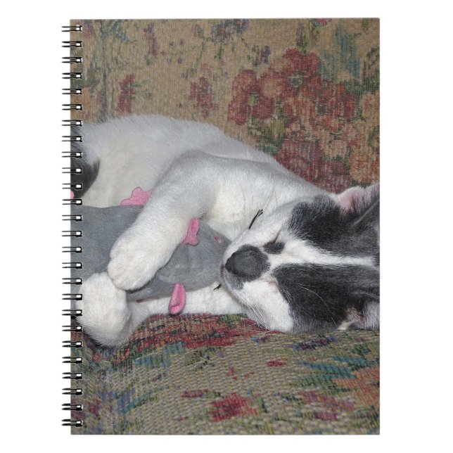 Cuaderno Gatito durmiente (Frente)