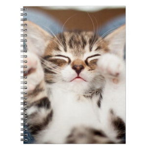 Cuaderno Gatito en mi revestimiento