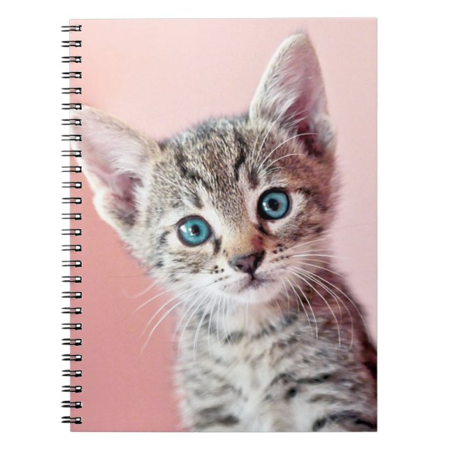 Cuaderno Gatito lindo con los ojos azules (Frente)