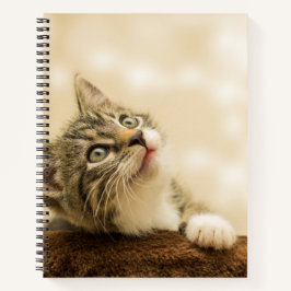 Cuaderno Gatito lindo con una pata al aire libre