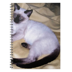 Cuaderno Gatito lindo del mascota animal del arte de la