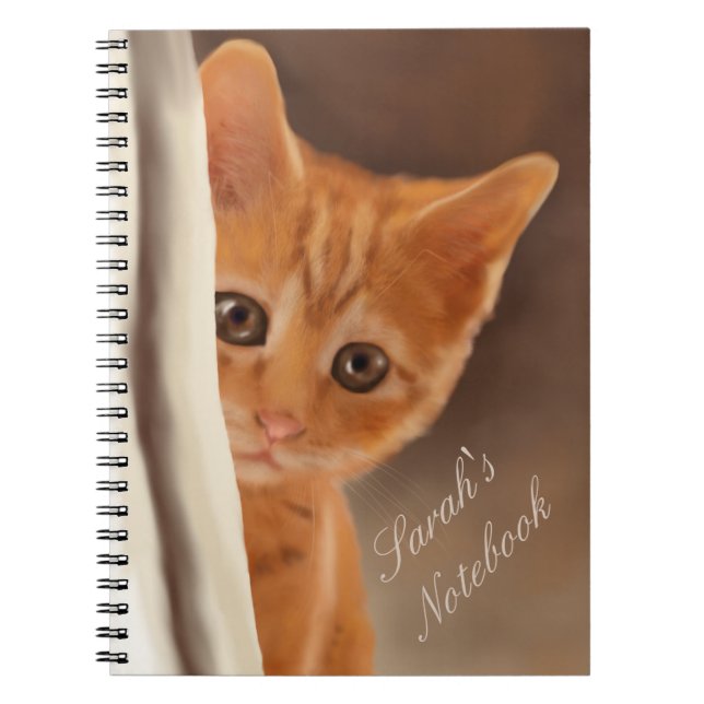 Cuaderno Gatito mullido del jengibre (Frente)