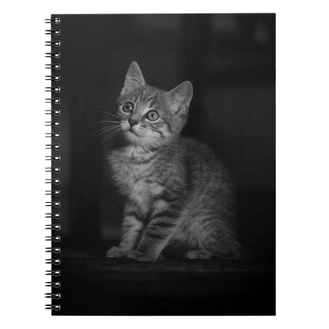 Cuaderno Gatito preciado (Frente)
