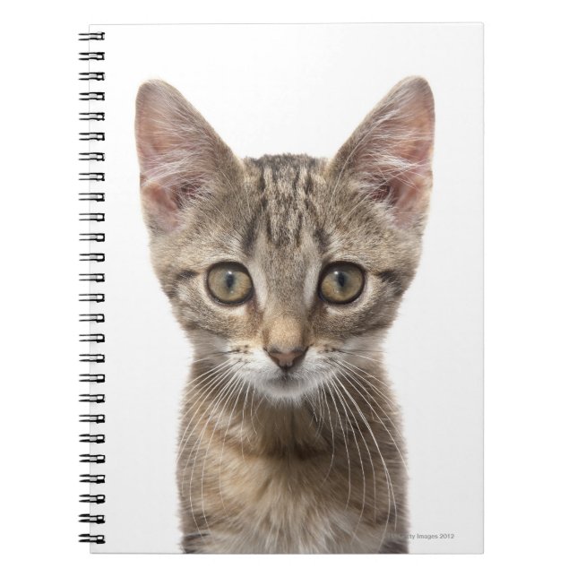 Cuaderno Gatito rayado (Frente)