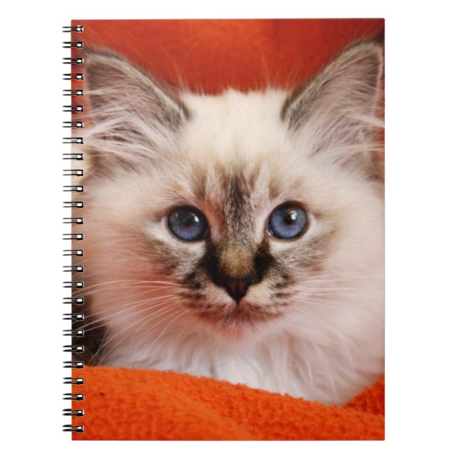 Cuaderno Gatito sagrado de Birman (Frente)