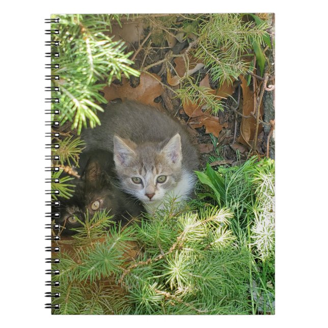 Cuaderno Gatitos (Frente)