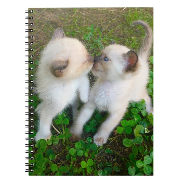 Cuaderno gatitos besándose en trébol (Frente)